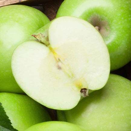 files/Swiss-Apple-Stem-Cells_1800x1800_a5bad4bc-f3f6-4ac1-a527-3847e2e794e0.webp