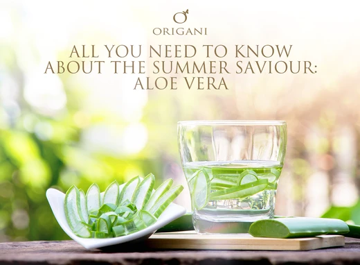 All You Need To Know About The Summer Skin Saviour: Aloe Vera