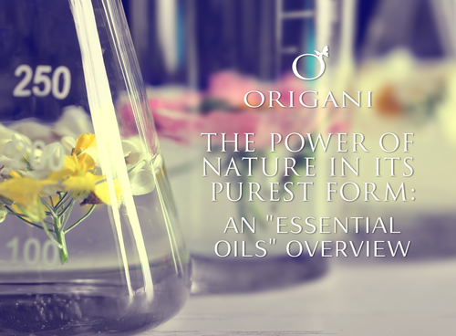 The Power Of Nature In Its Purest Form: An ‘Essential Oils’ Overview